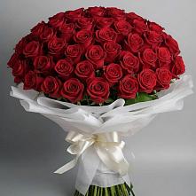 Букет 101 Красная роза Блэк Мэджик в Томузловском