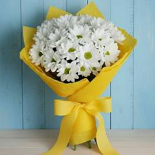 Букет цветов из:  Хризантемы в Томузловском