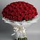Букет 101 Красная роза Блэк Мэджик в Томузловском