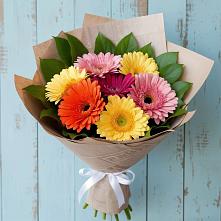 Букет цветов из:  Герберы #REPLACE_PRED# Томузловском