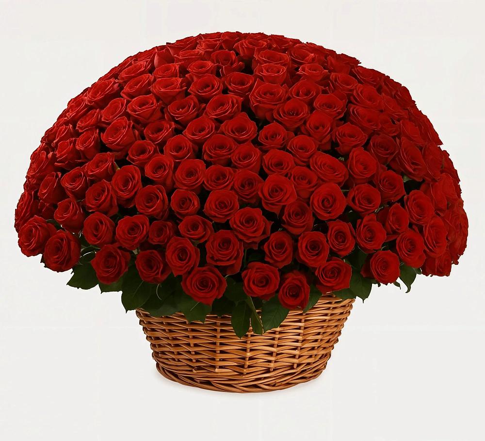 Премиум букет из: Розы в Томузловском