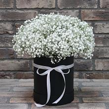 Цветочная композиция из Гипсофила в шляпной коробке #REPLACE_PRED# Томузловском