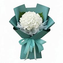Букет цветов из:  Гортензия в Томузловском